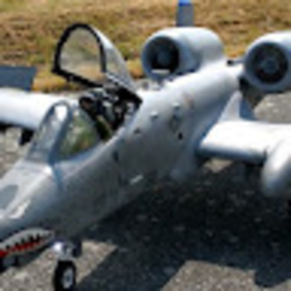 Meet your Posher, Elvin - Picture 1 of 1